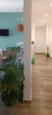 a room with a potted plant on the floor at Green Suite Palermo in Palermo