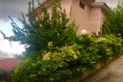 a group of bushes in front of a building at IL PANORAMA in Altofonte