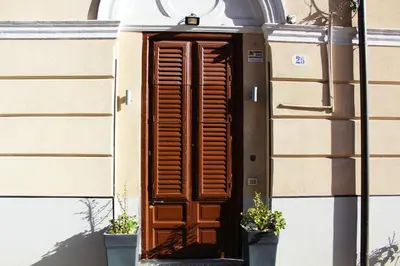 a wooden door on a building with two potted plants at GDM central apartment Palermo in Palermo