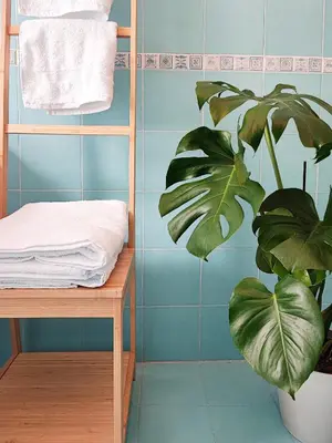 a room with a towel rack and a plant at ALP House in Palermo
